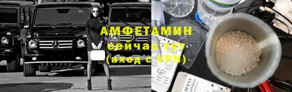 apvp Вяземский