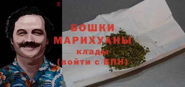 apvp Вяземский