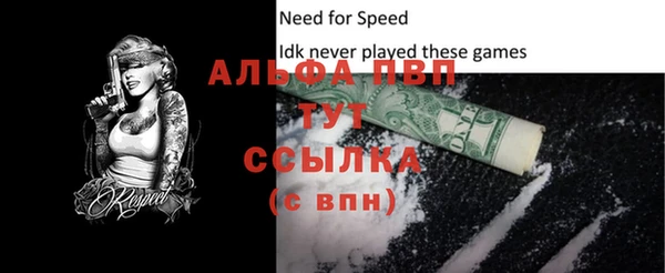 apvp Вяземский