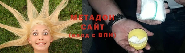гидра Вязьма