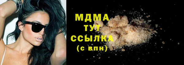 гидра Вязьма