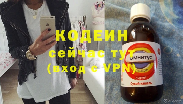 apvp Вяземский