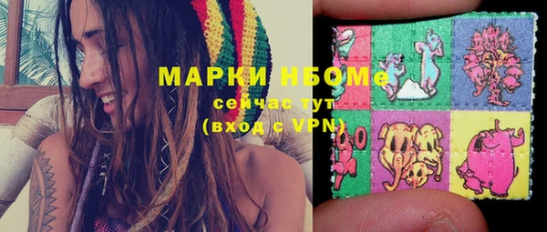 apvp Вяземский