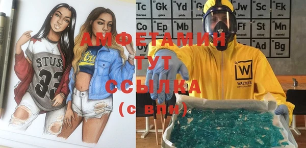 гидра Вязьма