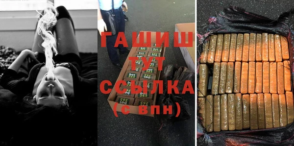 гидра Вязьма