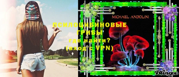 apvp Вяземский