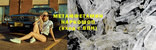 гидра Вязьма
