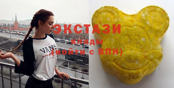 гидра Вязьма