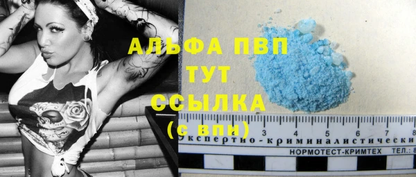 гидра Вязьма