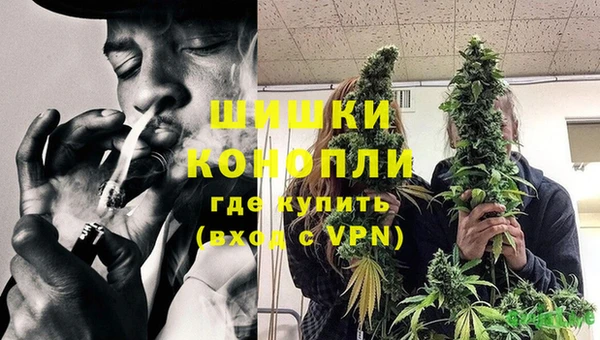 гидра Вязьма