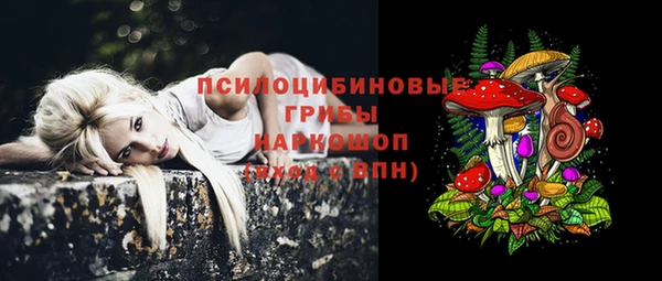 дмт Вязники