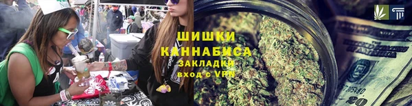 гидра Вязьма