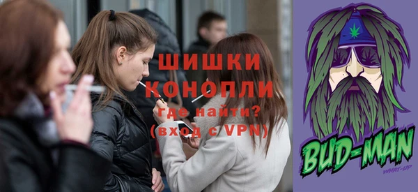гидра Вязьма